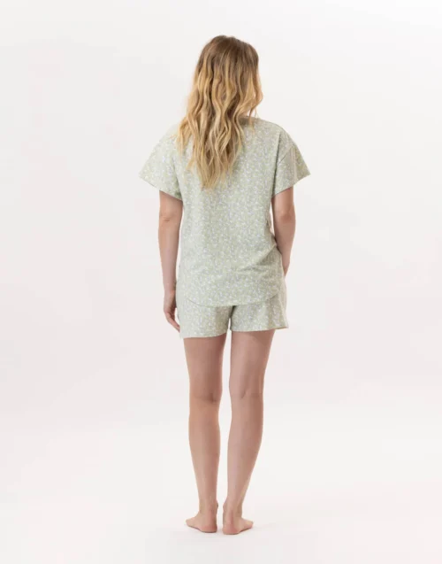 Pyjama Short En Coton CALISSON 900 Anis -Pyjama Chic Femme Magasin pyjama short en coton calisson 900 anis 4